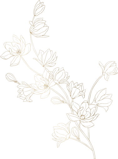 Golden Bella Nail Bar - Nail salon in Triadelphia, WV 26059 | Special Nail Art Design